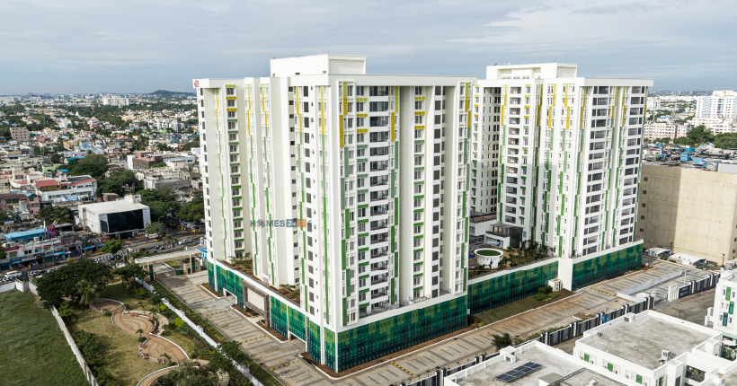Appaswamy Trellis-cover-06